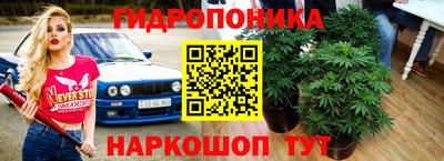 гидра Старая Купавна