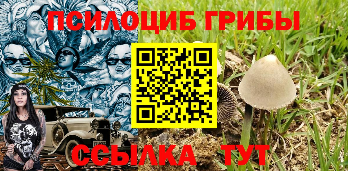 Галлюциногенные грибы GOLDEN TEACHER  Вход с VPN  закладки  Мурманск 