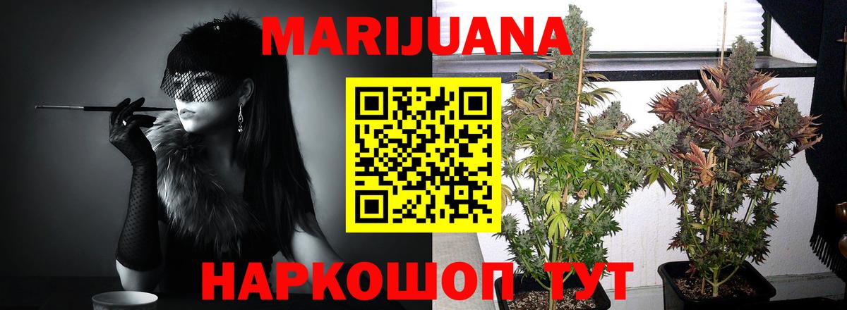 Мурманск  Каннабис план  Бошки марихуана тримм  Шишки марихуана Ganja  Шишки марихуана AK-47  Вход с VPN 